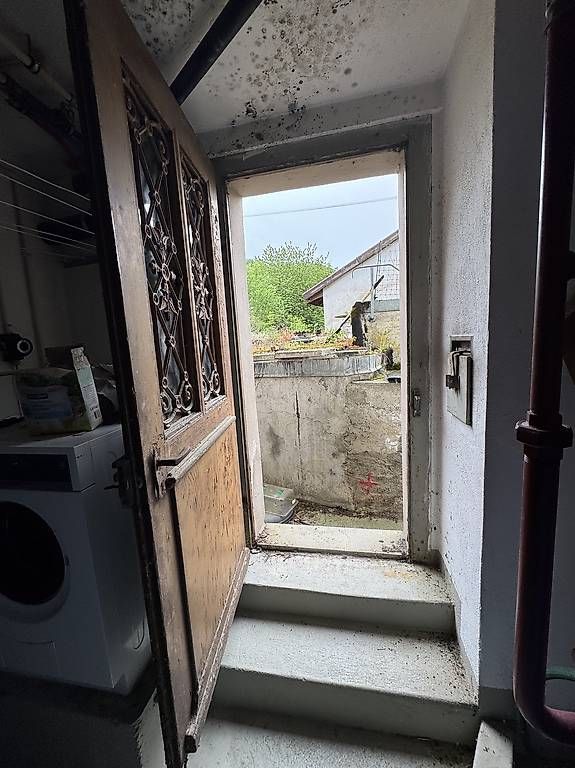 Porte: Antike Holztüre – Usato da Münchwilen AG venduto da me2work 3
