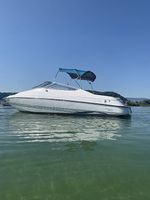 Motorboot Sportboot Chris Craft 21 Cudy