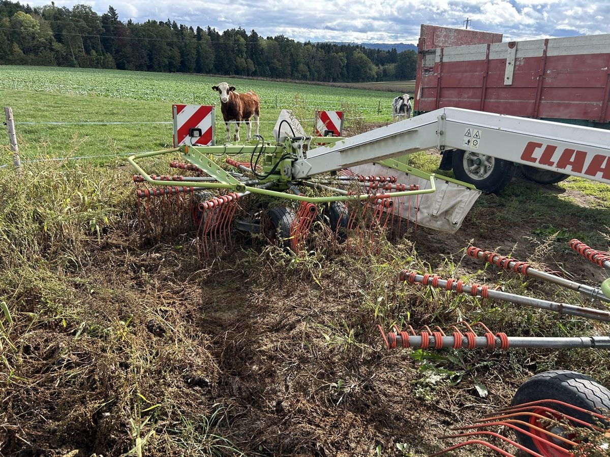 Claas Fauchage: Claas Liner Tazelwurm – Défectueux à Grossaffoltern par flitzer93 1