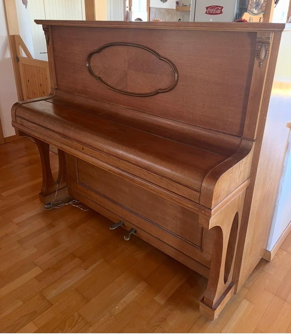 Strumenti musicali: Klavier Baldur – Usato da Grüningen venduto da Fastjoe 4