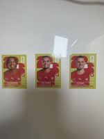 Panini coupe du monde 2026 