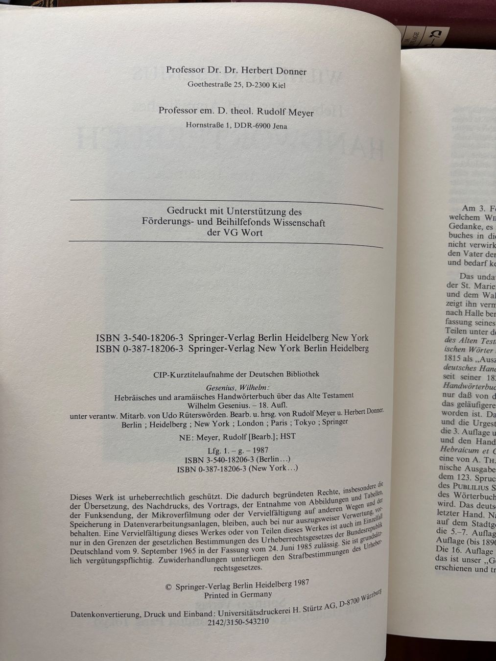 Libri: Gesenius 18. Auflage – Usato da Luzern venduto da dru_57p2 2
