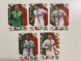 Panini Road to 2014 FIFA World Cup Brazil - Portugal