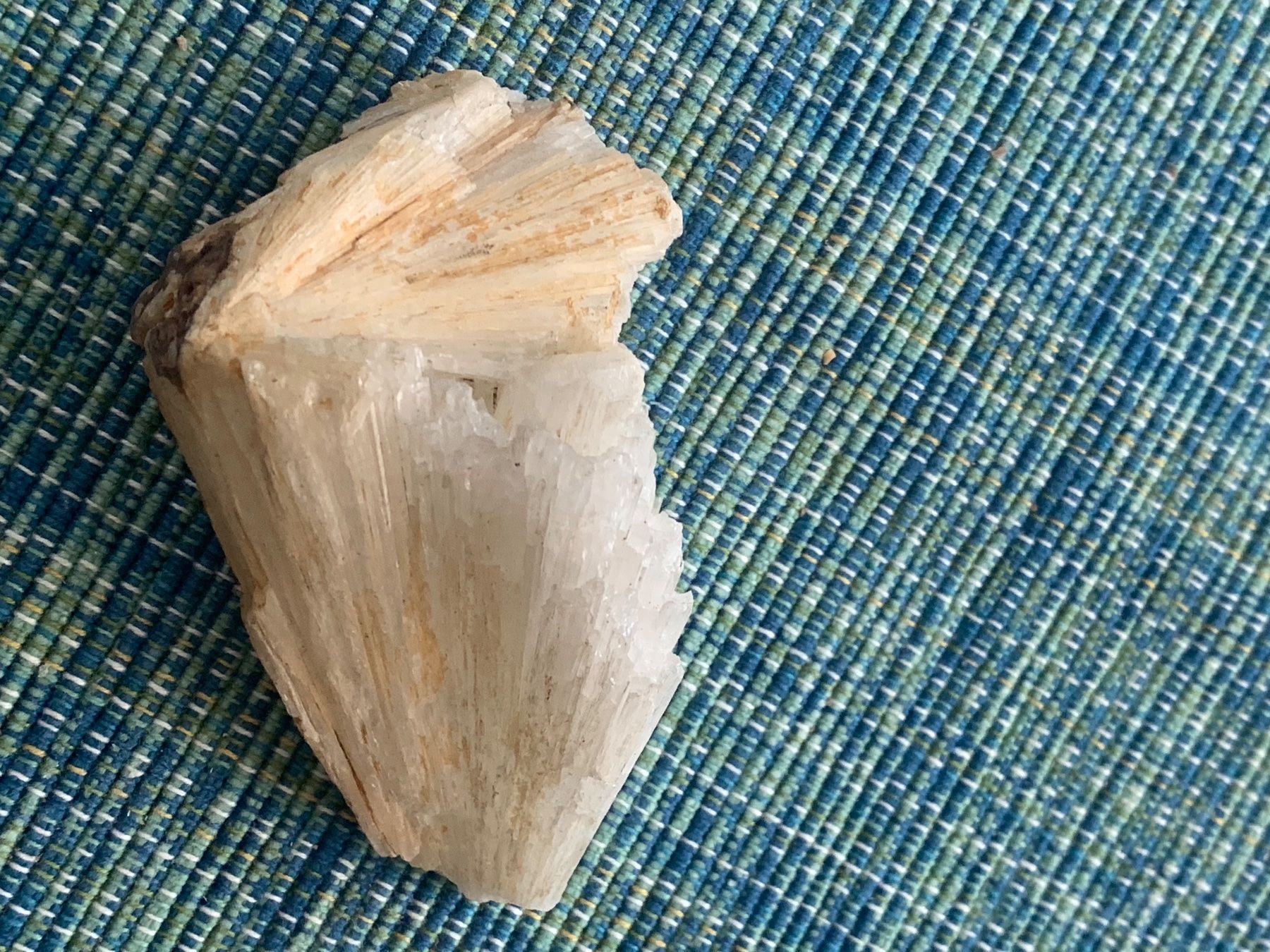 Fossili: Interessantes Mineral? – Usato da Basel venduto da Akinom50