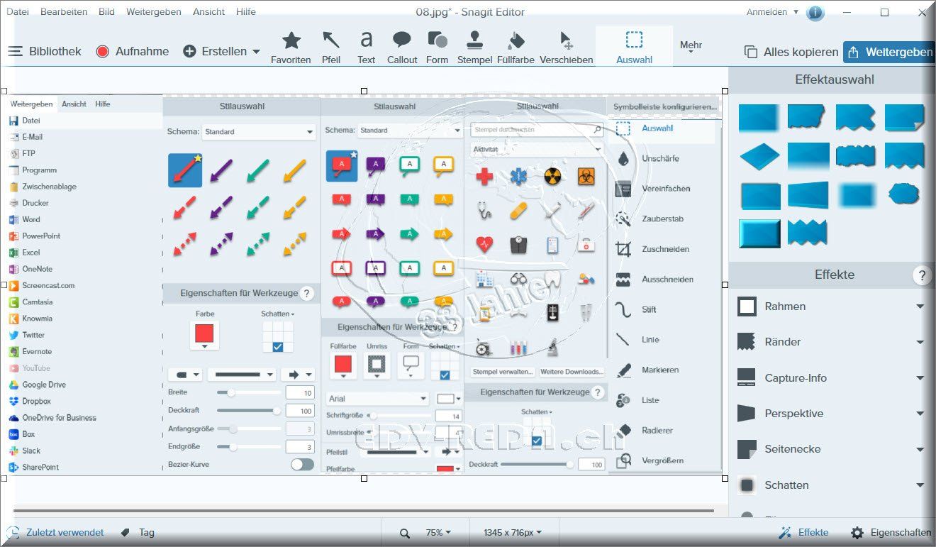 Software: TechSmith Snagit 2020 Windows – 2PC Dauerlizenz – Nuovo (secondo la descrizione) da Langenthal venduto da Reda 1