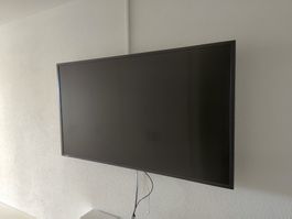 Sharp Monitor PN-U553 inklusive Wandhalterung