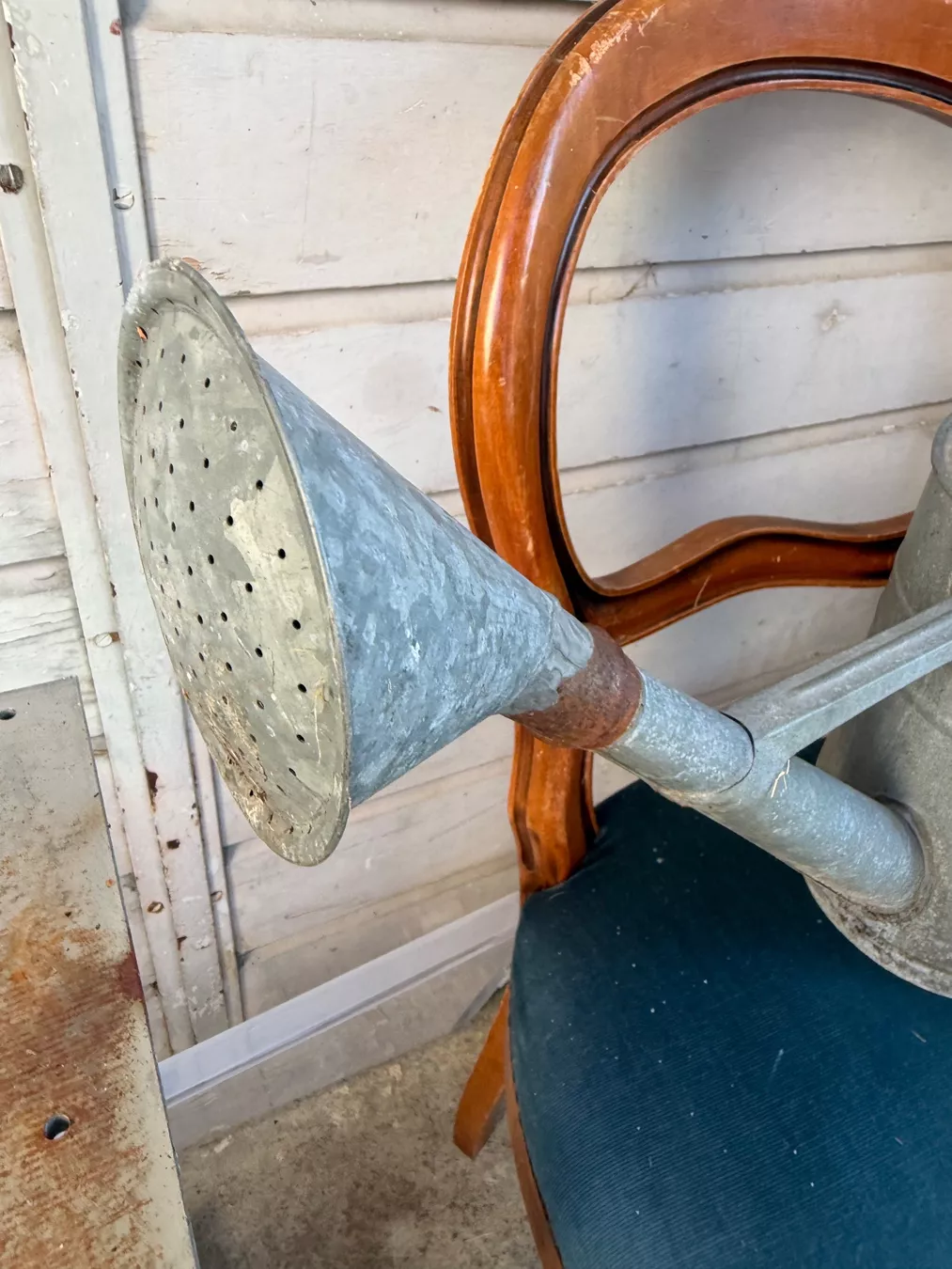 Annaffiatura & Irrigazione: Giesskanne – Usato da Nussbaumen AG venduto da normajeanbaker 3