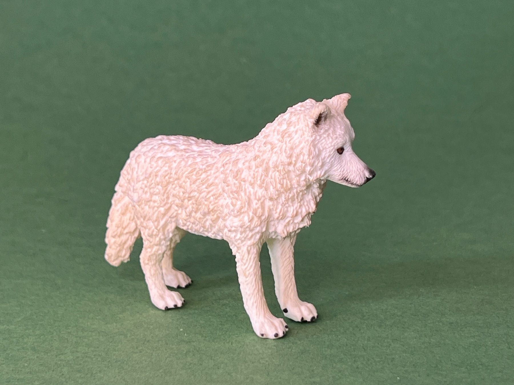 Schleich Statuette: Schleich arktischer Wolf Polar Polarwolf – Usato da Ennetbaden venduto da mapa05 4