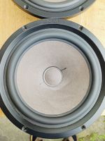 1 Tieftöner Woofer Canton