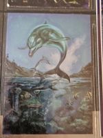 1994 The Best of Boris All Chromium / 4. Dolphins