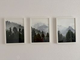 3er Set Wandbilder mit Rahmen, Waldmotive