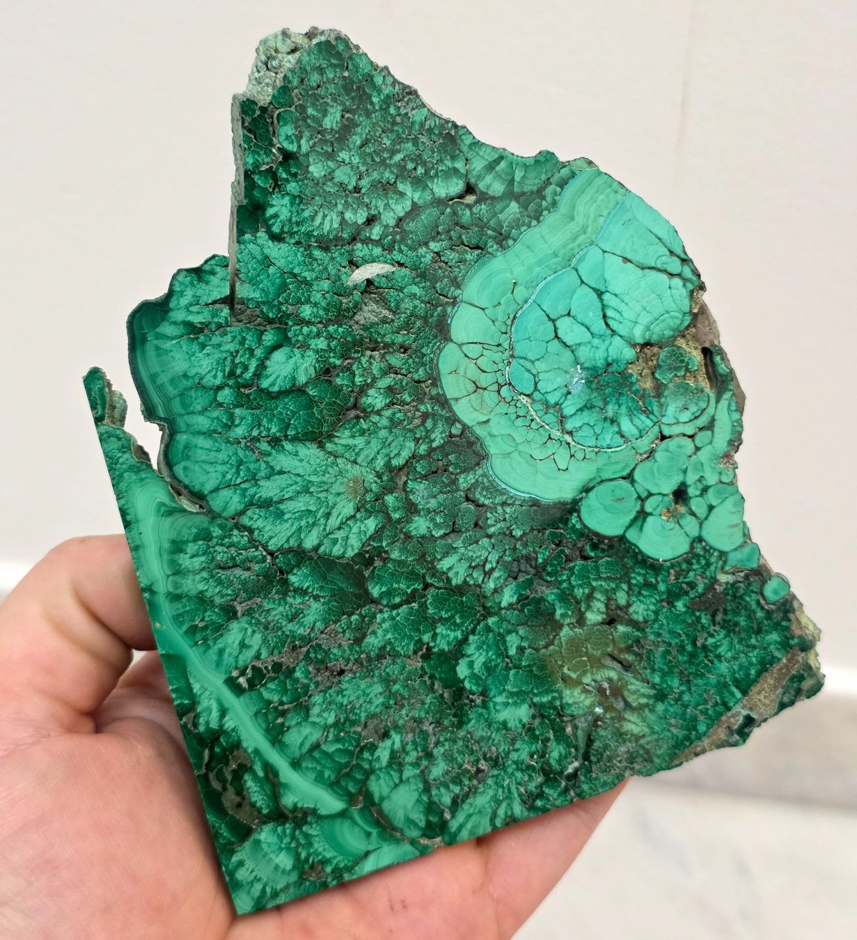 Minerali & Pietre curative: Malachit Scheibe D 311g – Nuovo e nell'imballaggio originale da Matzingen venduto da Shay_Crystalz 1