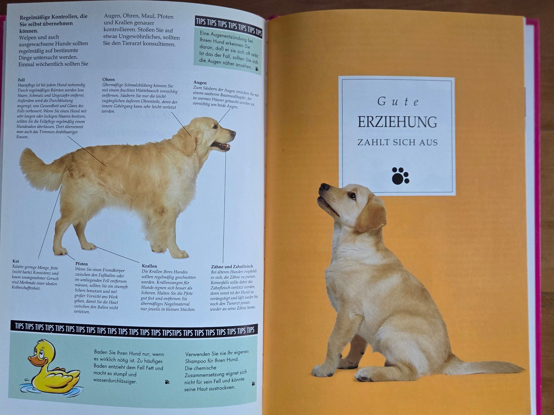 Libri: Buch: unser Liebling – Usato da St. Gallen venduto da Razoon77 4