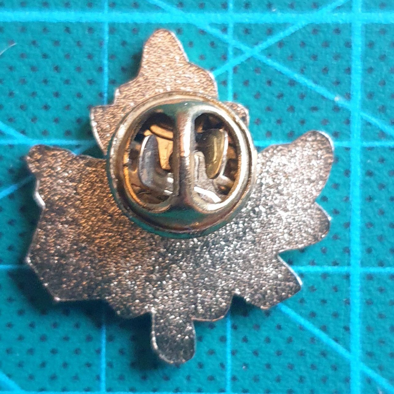 Spille & Fermagli: Rocky Mountaineer - Anstecker Pin – Nuovo (secondo la descrizione) da Jona venduto da Humpys 1
