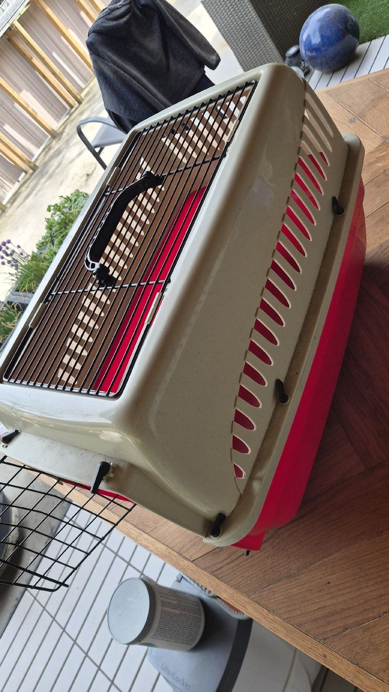 Cucce & Letti: Transportbox für Katzen – Usato da Schiers venduto da sabrina_88 1