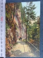 BÜRGENSTOCK FELSENWEG BELEBT AK ONW