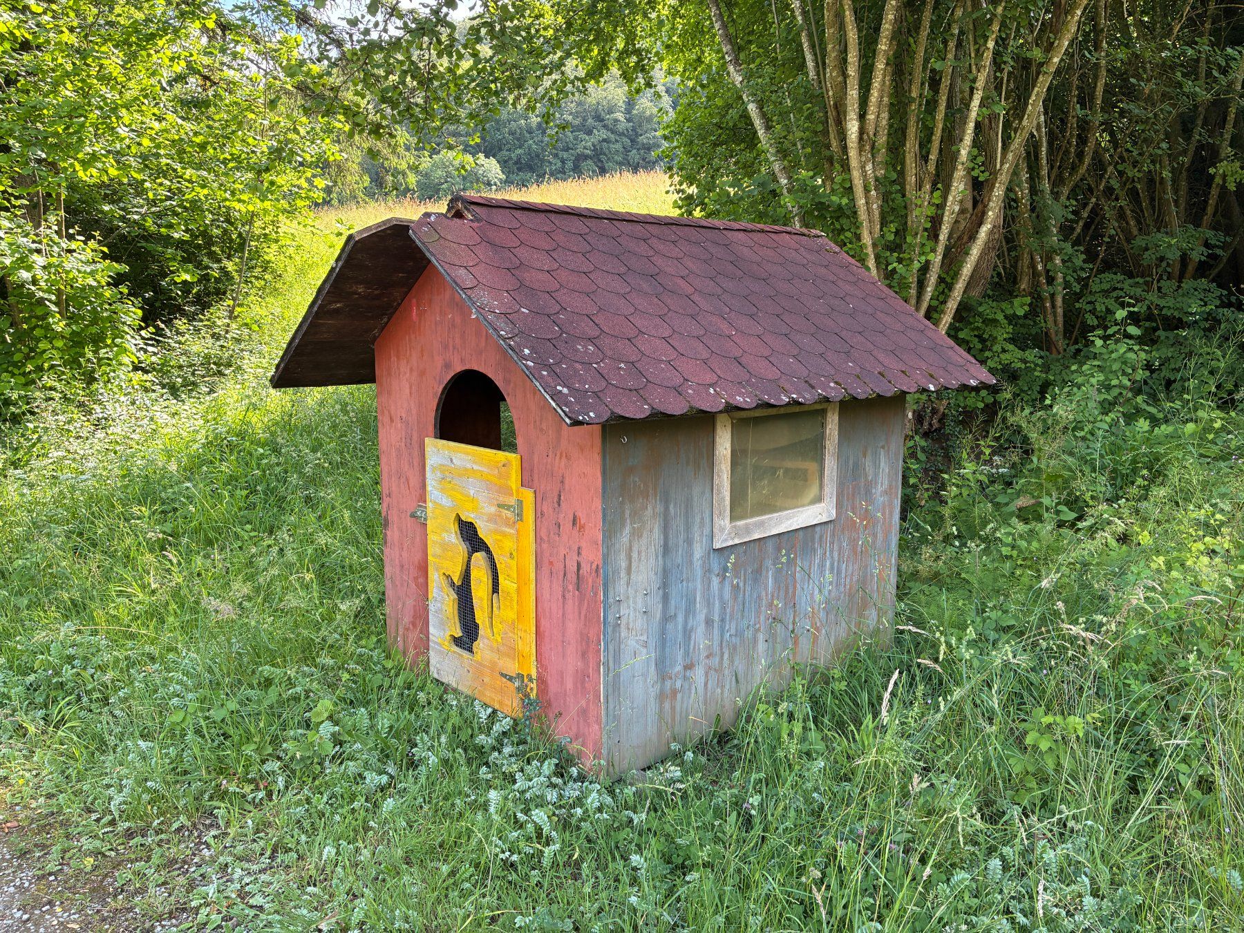 Casette per bambini: Kaninchenstall / Haus – Usato da Gansingen venduto da Barolo73 2