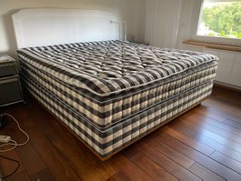 Bett Hästens Vividus 270´000 NP im Shop 190x210 medium
