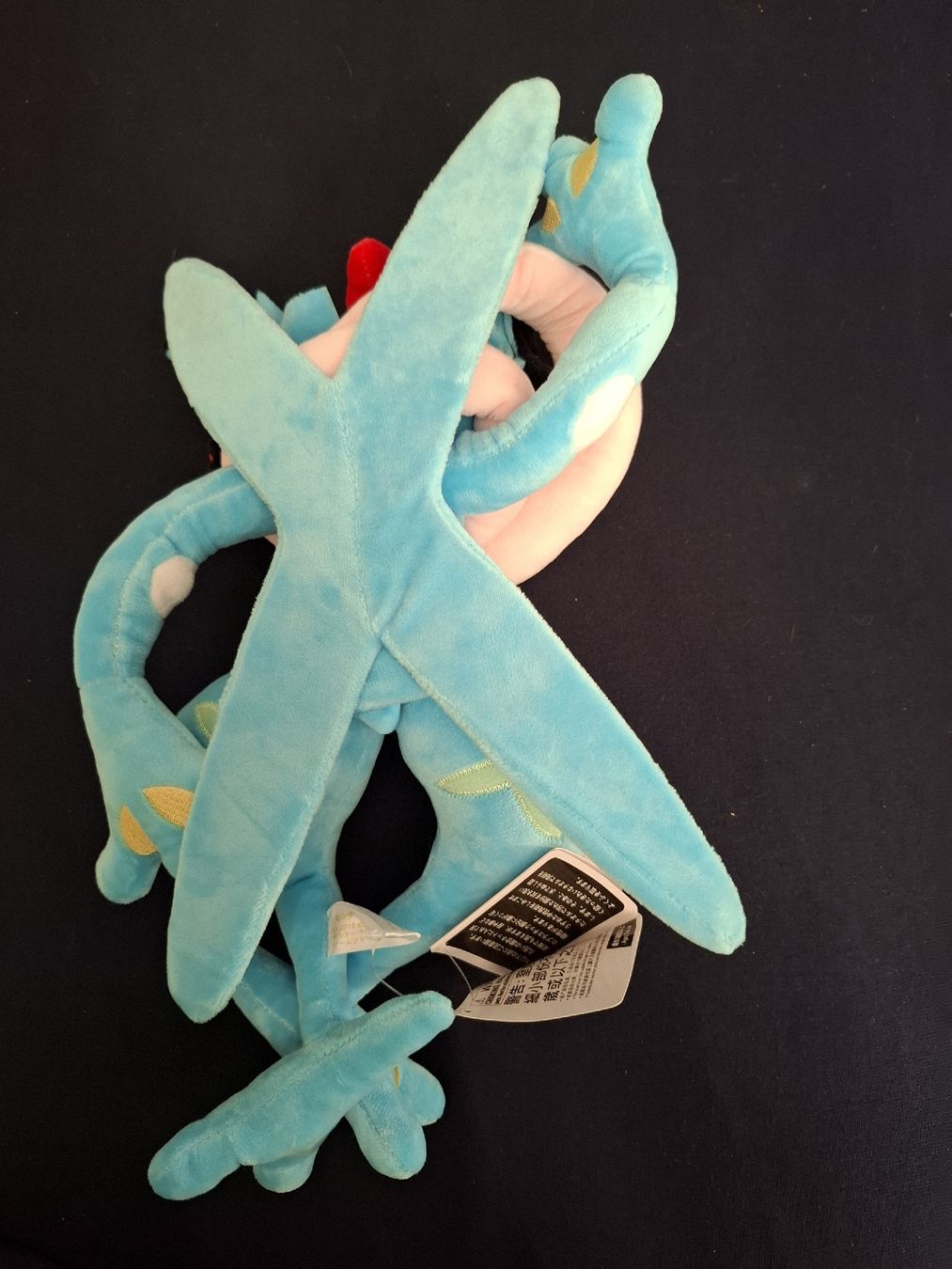 Pokémon Giocattoli: Pokémon|| Plüsch|| Ash-Quajutsu – Nuovo (secondo la descrizione) da Burgdorf venduto da san_zt75 2