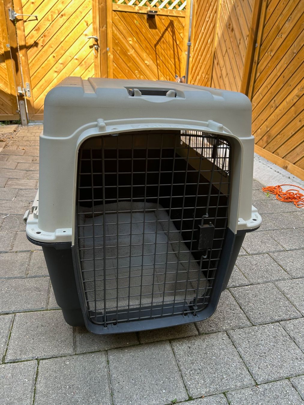 Cages, transport & sécurité: Hundetransportbox – D'occasion à Kirchberg BE par Cooper2019