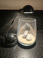 Wabikusa, Vase mit Licht. Kein Aquarium