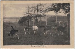 BE 95 Langenthal Wildpark o AMBULANT Kurs 501 1918