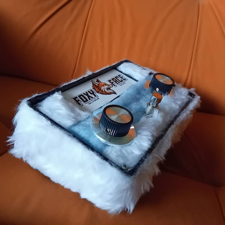 Strumenti musicali: Nullfusion Foxy Face "Snow" – Usato da Arni AG venduto da Rafael5179 3