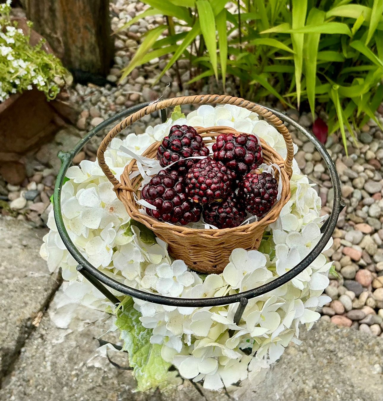 Giocattoli: ALTES PUPPENKÖRBCHEN MIT FEINEN BROMBEEREN – Usato da Zell LU venduto da Silvermemory 2