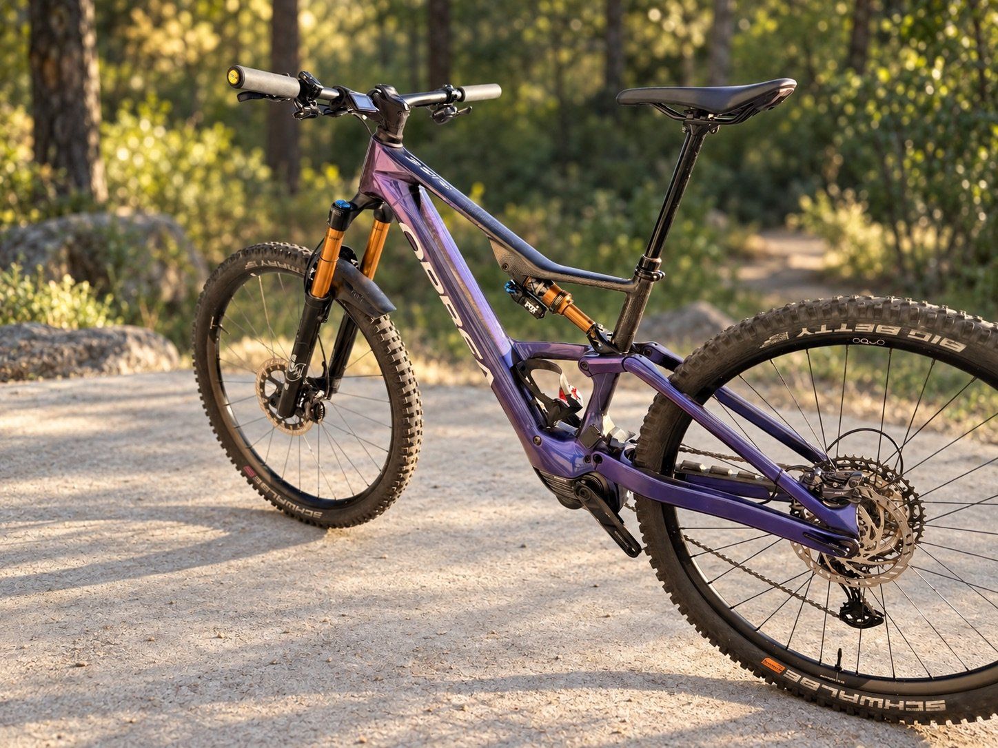 Orbea Biciclette: VTT électrique orbea rise lt 2025 – Usato da Athenaz (Avusy) venduto da arwenlb 1