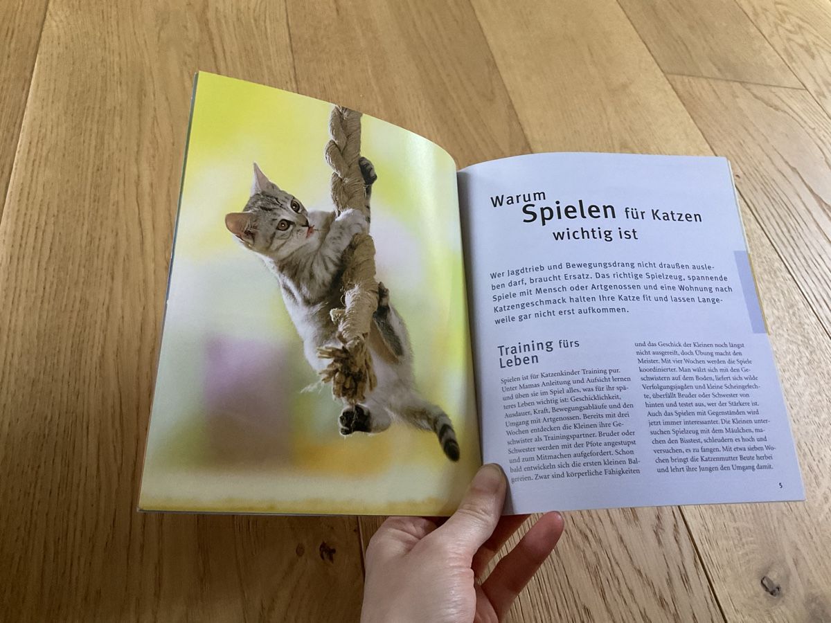 Bücher: Katzen Spiele Buch: pfiffig, spassig & spannend – Gebraucht aus Wichtrach von Aramis3628 2