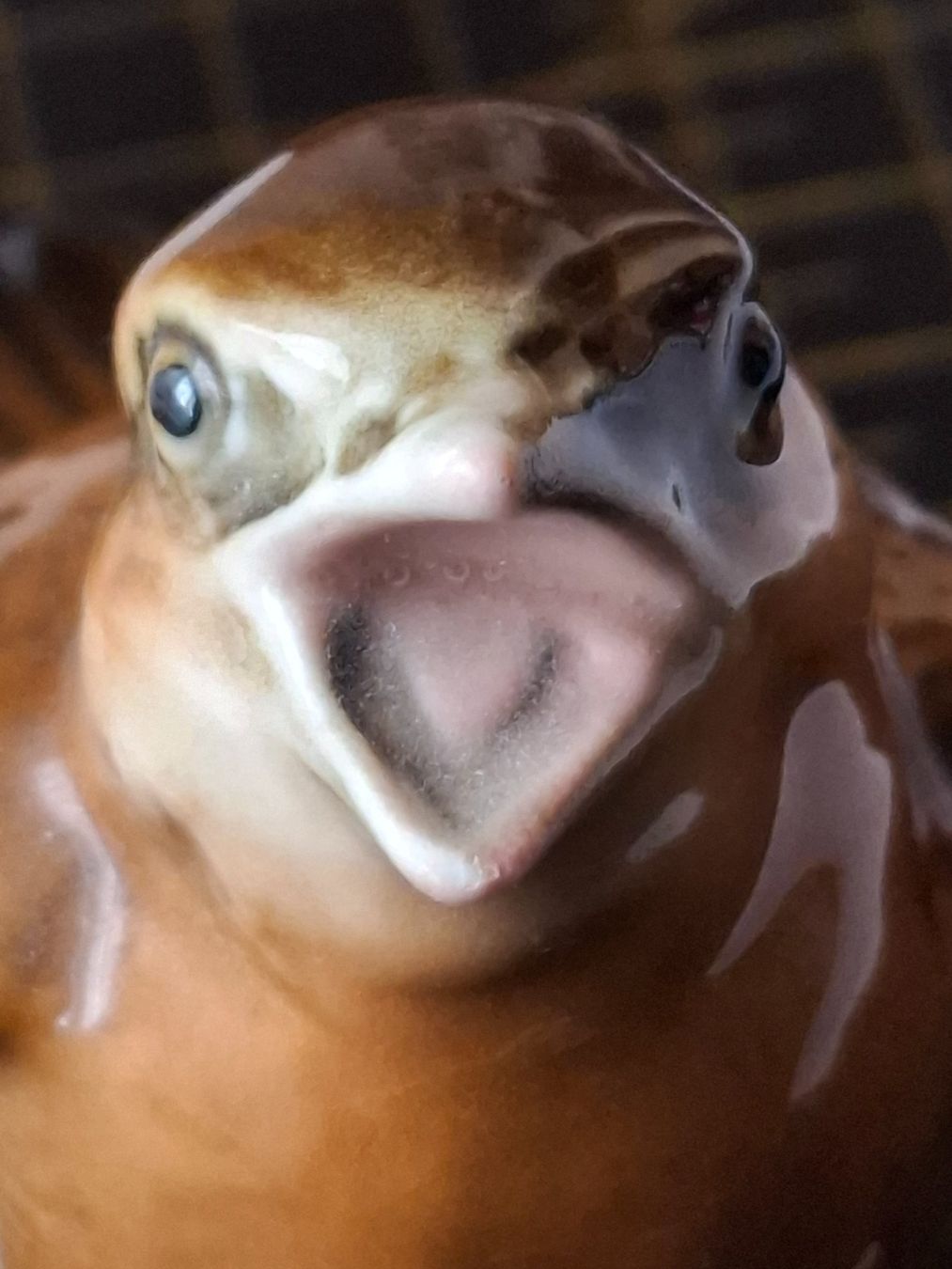 Statuette: Vogel Deko – Usato da Zwieselberg venduto da Halifaxmendusli 5