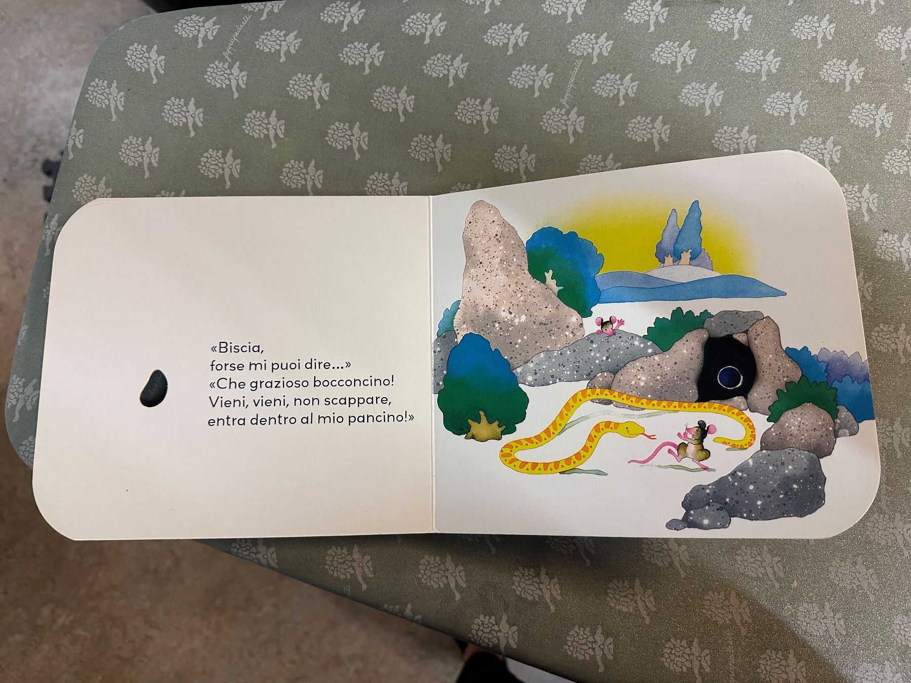 Libri: Set di libri per bambini – Usato da Zürich venduto da the_2lsz 3