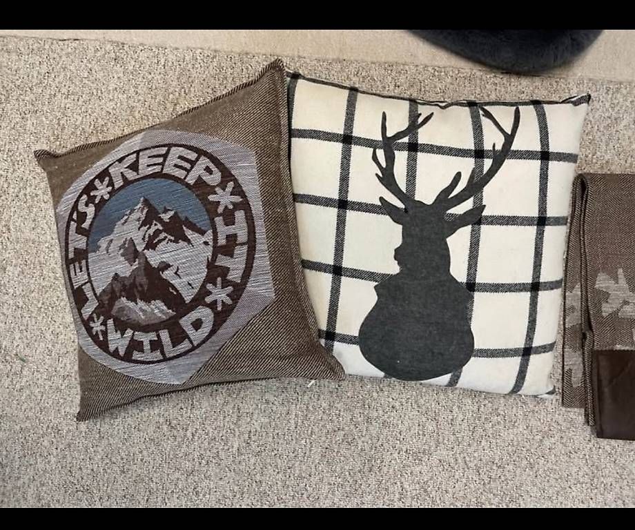 Cuscini: Coussins décoratifs  – Usato da corbeyrier venduto da Brocante72 1