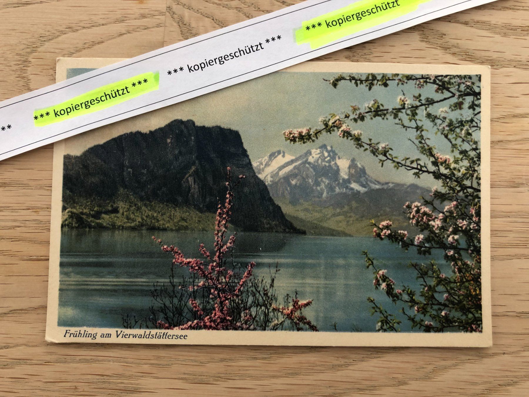 Ansichtskarten: Frühling am Vierwaldstättersee alt AK – Gebraucht aus Hefenhofen von Bierinder