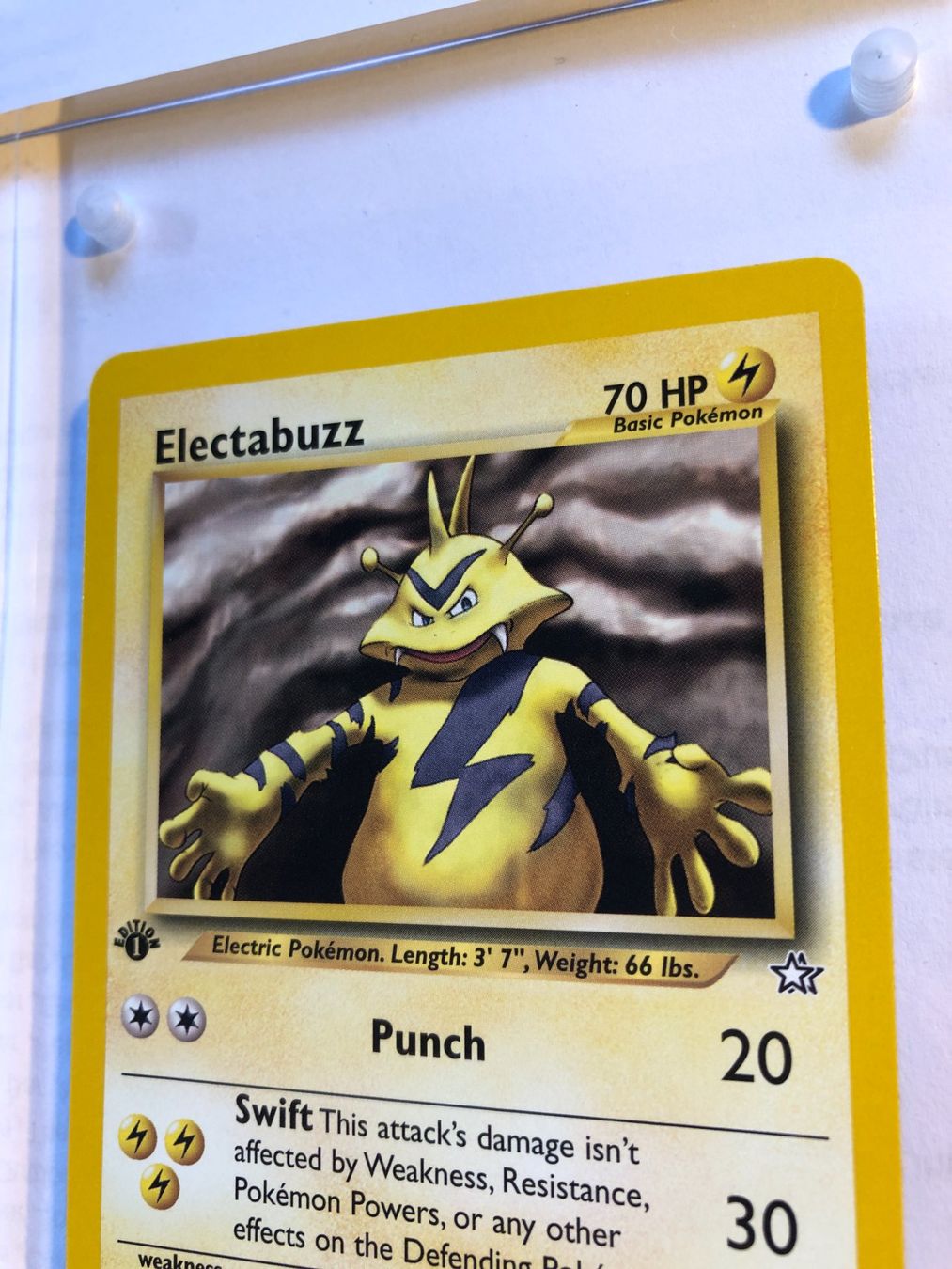 Sammelbilder & Trading cards: Electabuzz (unc.) 1st Neo Genesis - MINT - ab 1.- – Gebraucht aus Giubiasco von dan_pr8b 3