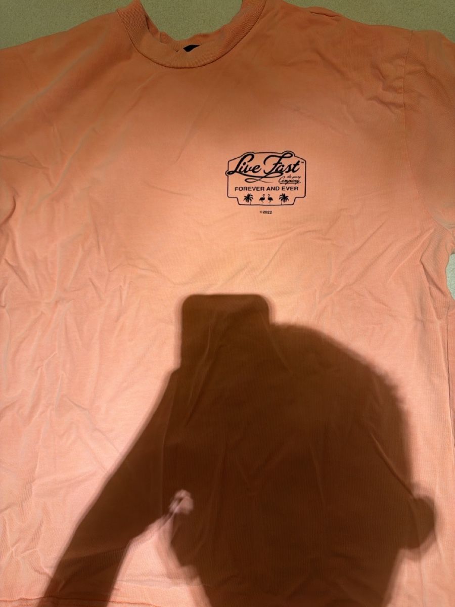 T-shirt: LFDY sommer Shirt 2024 – Nuovo (secondo la descrizione) da Zwingen venduto da M.Krichel_18