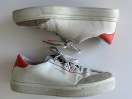 Common Projects Sneakers