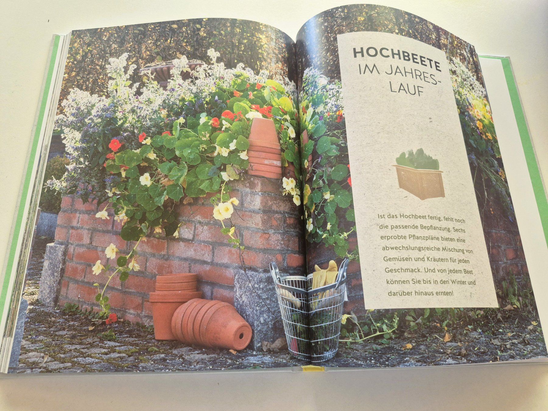 Libri: Buch "Mein Hochbeet" – Nuovo (secondo la descrizione) da St. Gallen venduto da Amelie_73 3