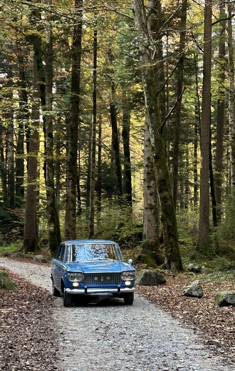 Fiat Autos: Oldtimer-Bar  – D'occasion à Buochs par TodoAlles 5