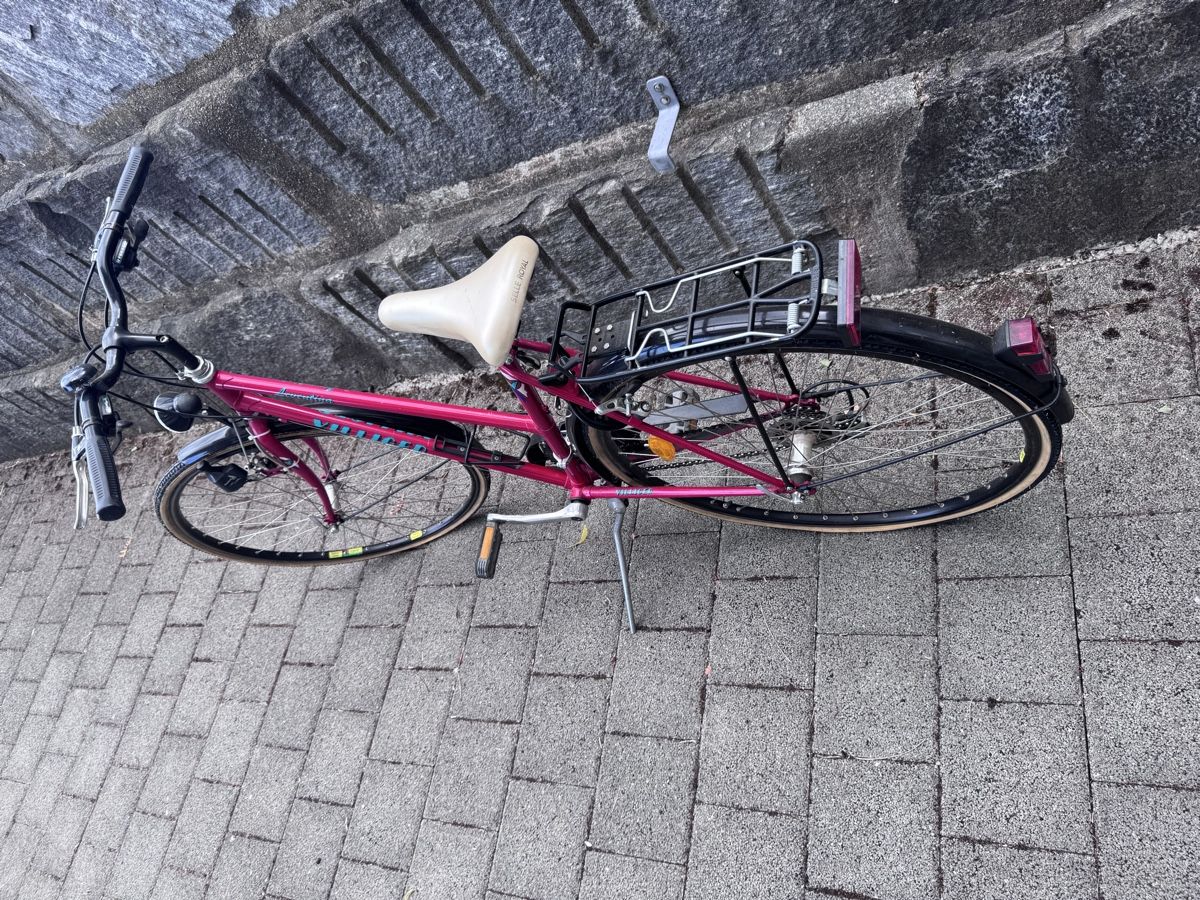Biciclette: Damenvelo Villiger – Difettoso da Doppleschwand venduto da Denos 1