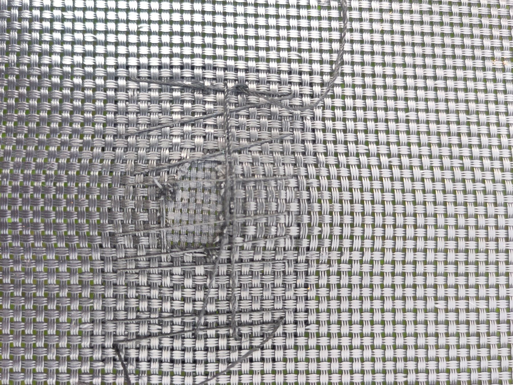 Trampoline: Trampolin, Marke North Performer – Gebraucht aus Ebnat-Kappel von dor_ydb7 5