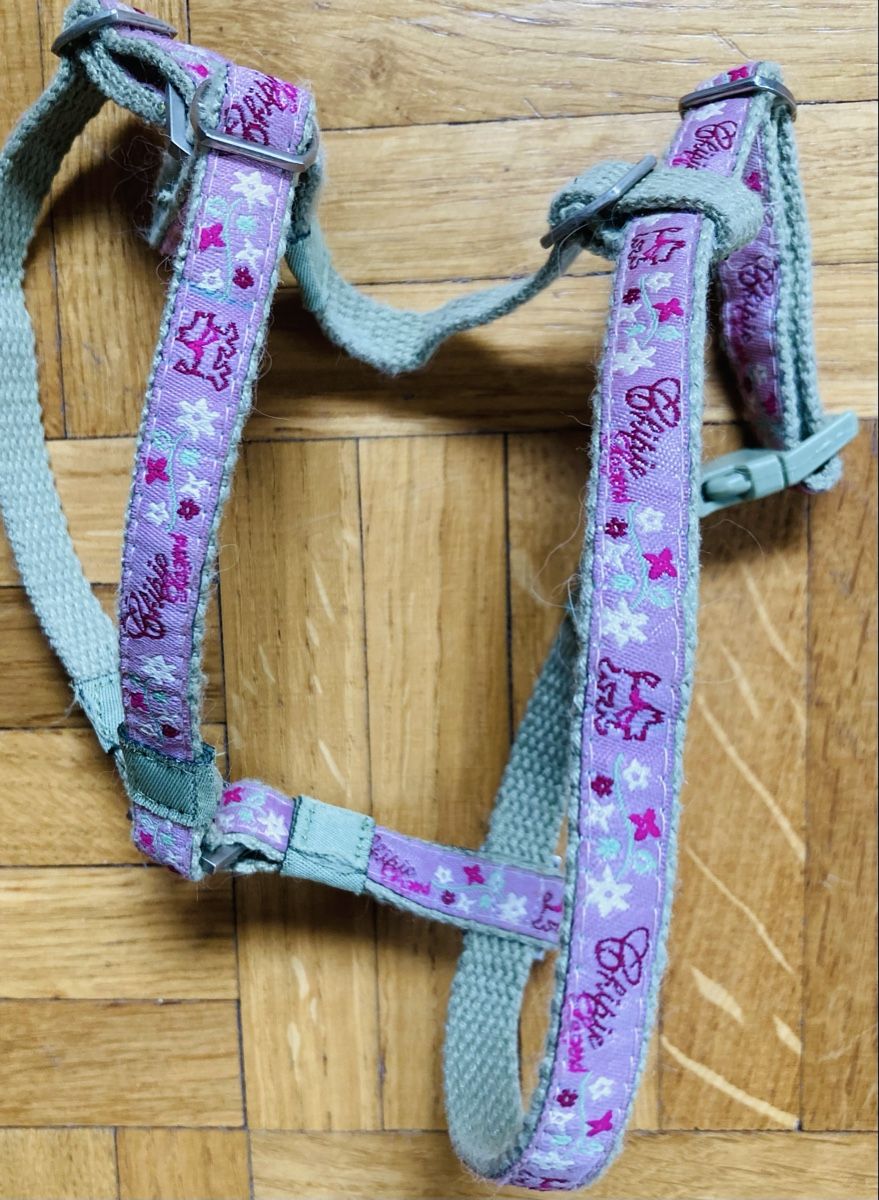 Attrezzatura da arrampicata: Harnais pour chat de petite taille – Nuovo (secondo la descrizione) da Ardon venduto da hel_2sxp