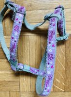 Harnais pour chat de petite taille