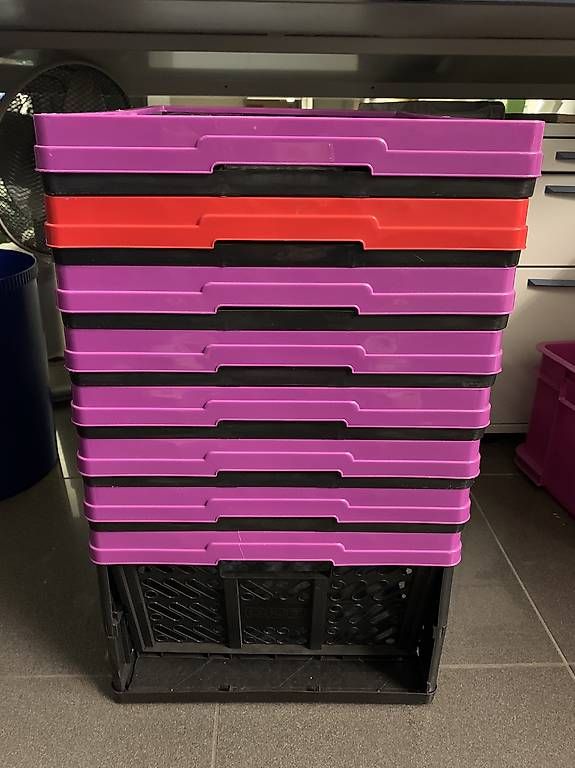 Caisses de transport: Klappboxen NEU – D'occasion à Winterthur par monika.christen28