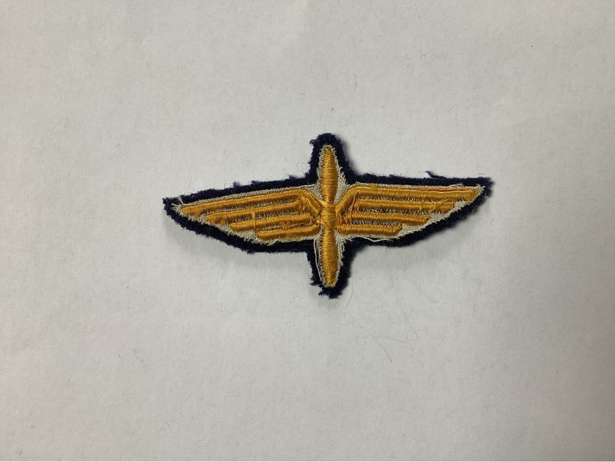 Schweizer Armee Patches: Piloten Abzeichen – Gebraucht aus niederurnen von Hagugelmann 1