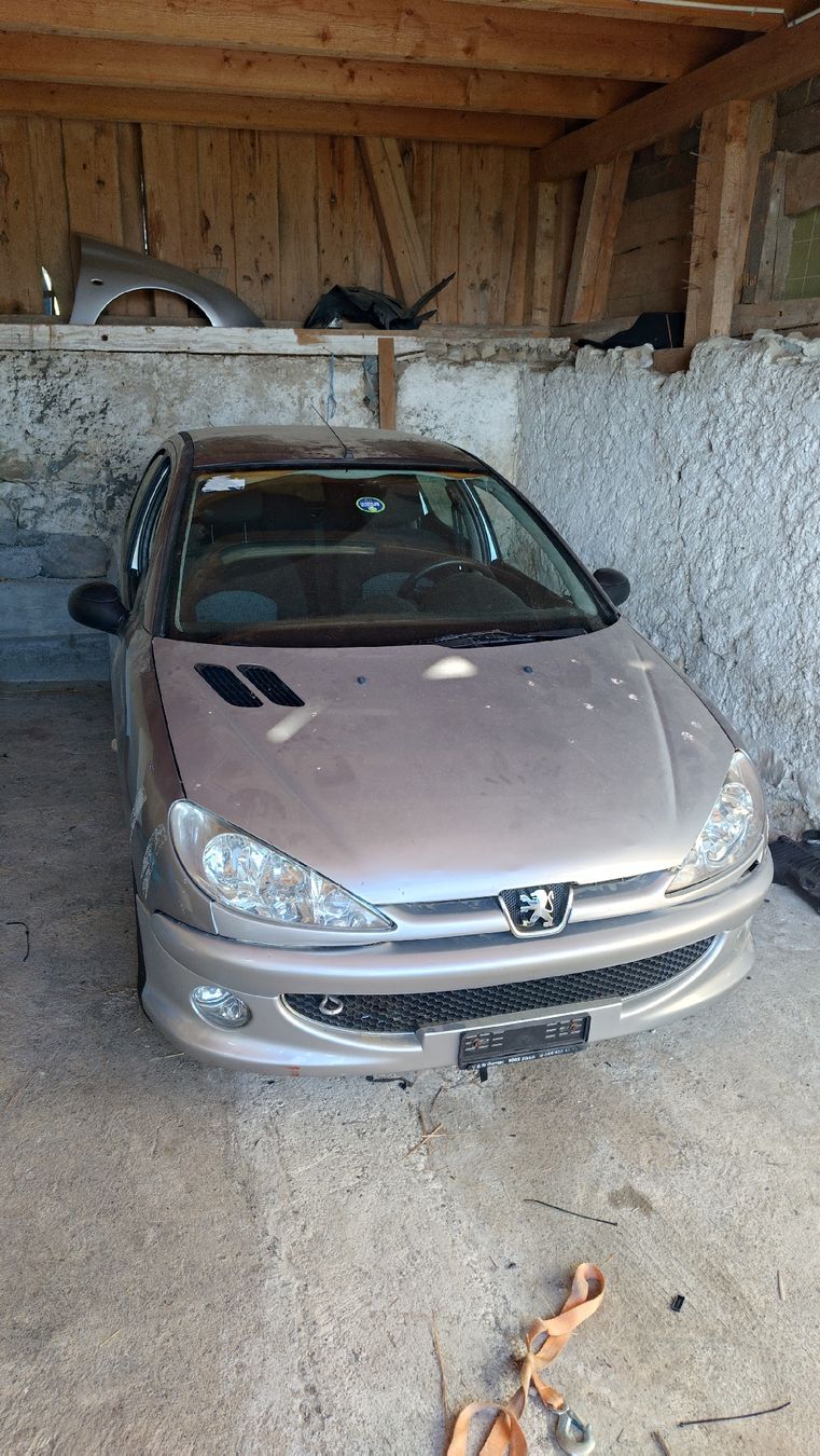 Peugeot Automobili: Peugeot 206 – Difettoso da Gommiswald venduto da allen_b