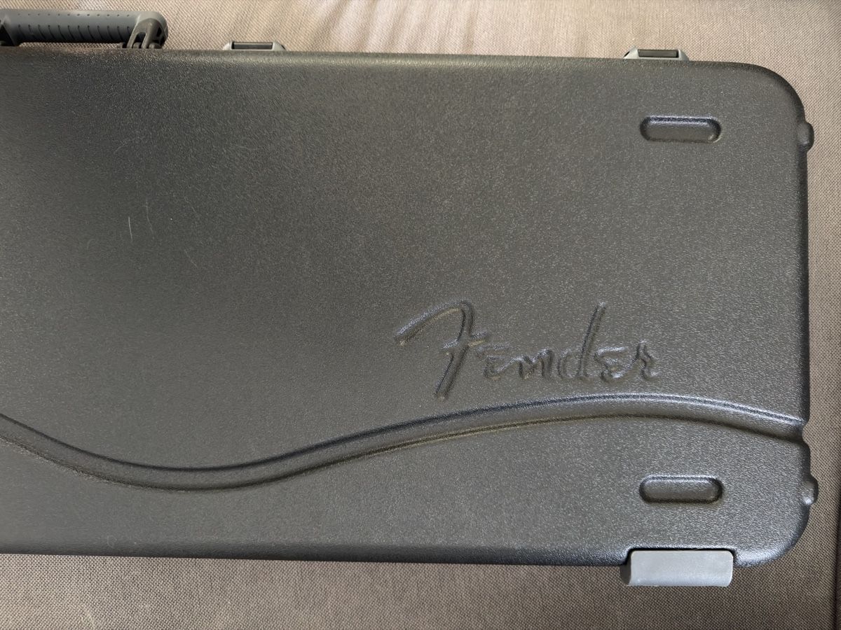 Fender Strumenti musicali: Neue Fender American Pro II Stratocaster – Nuovo (secondo la descrizione) da zuchwil venduto da solotin74 9