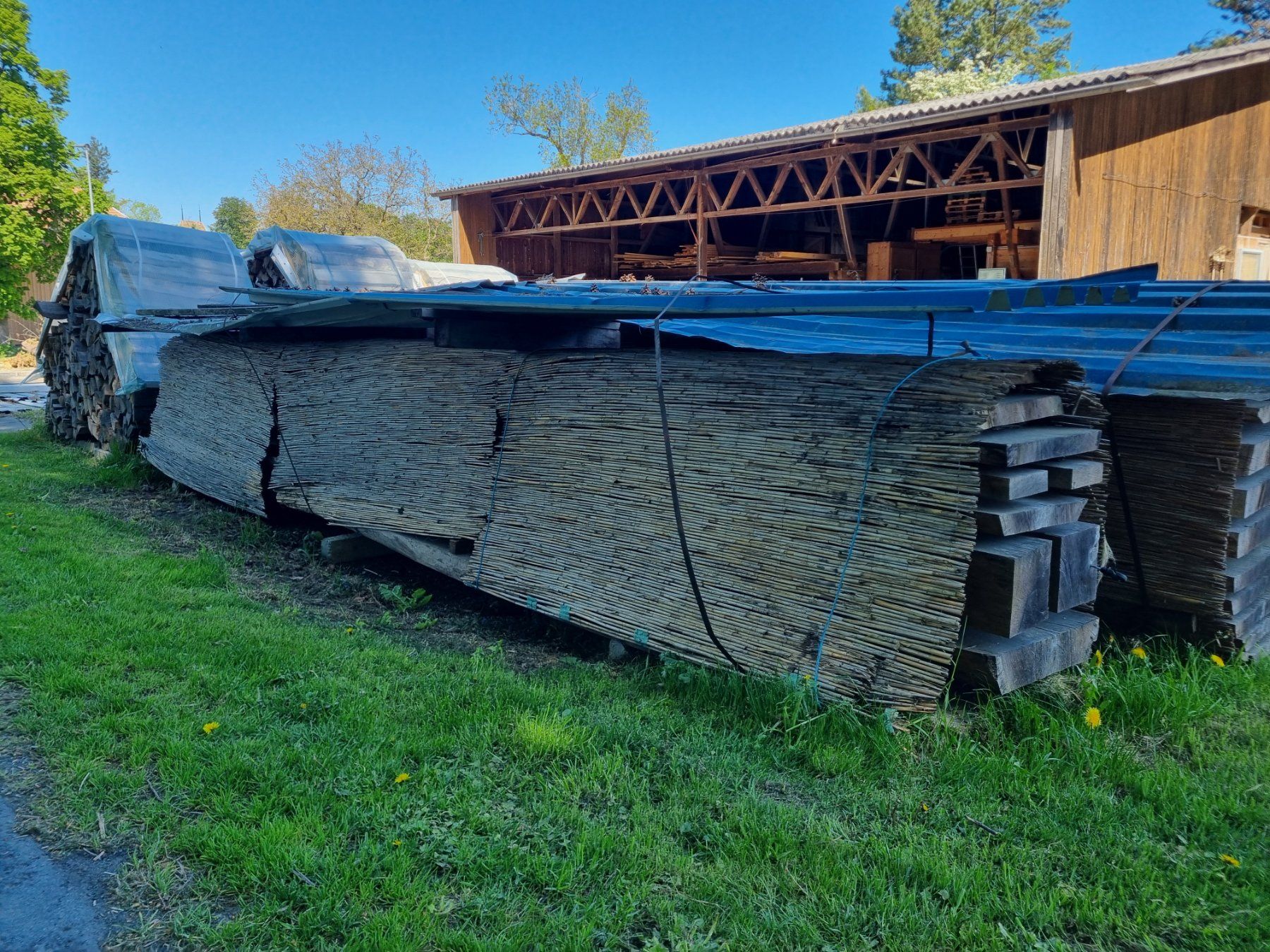 Articoli in legno: Schweizer Eiche, luftrocken – Nuovo (secondo la descrizione) da Worb venduto da schlossgut.worb 1