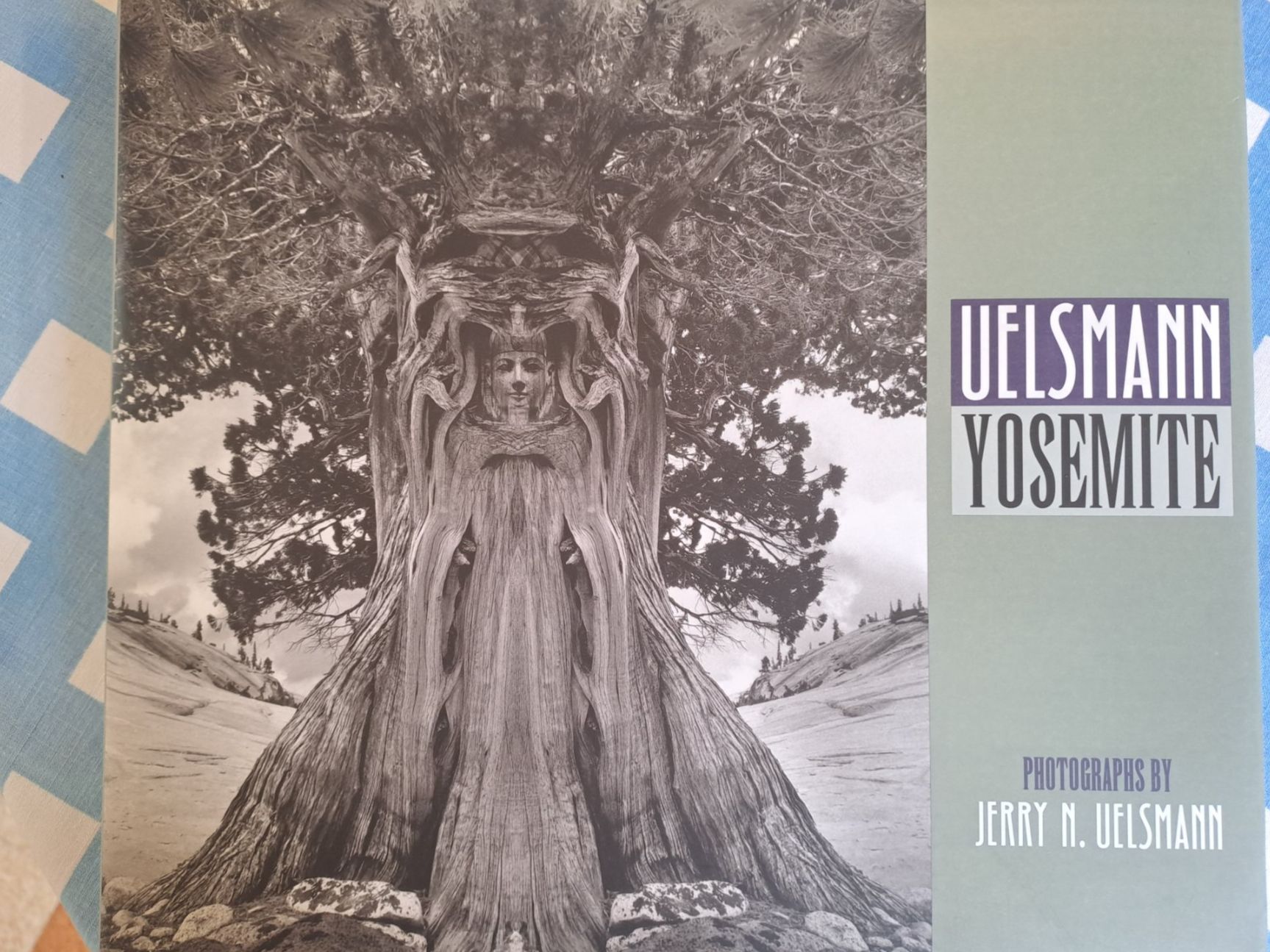 Libri: Book Yosemite UELSMANN – Usato da LAUSANNE venduto da KWEW