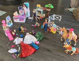 Barbie Puppen und Spielsets